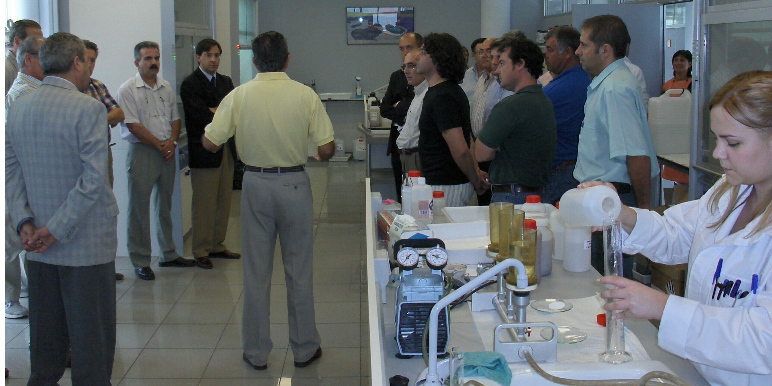 INNOVAR COMO ESTRATEGIA EMPRESARIAL (APAISADA)