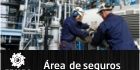 20111104103756seguros-peq