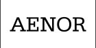 20130325165240aenor