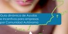 20130416124437041613-ayudas-pymes-peq
