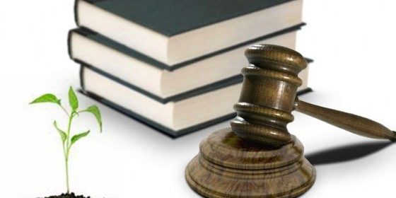 20140704121318Ley-Ambiental