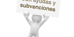 20140731125731fedecarne_ayudas_subvenciones