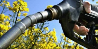 20151214175918biocarburantes