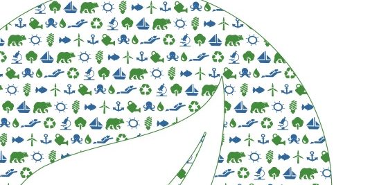 20190219180138empleaverde