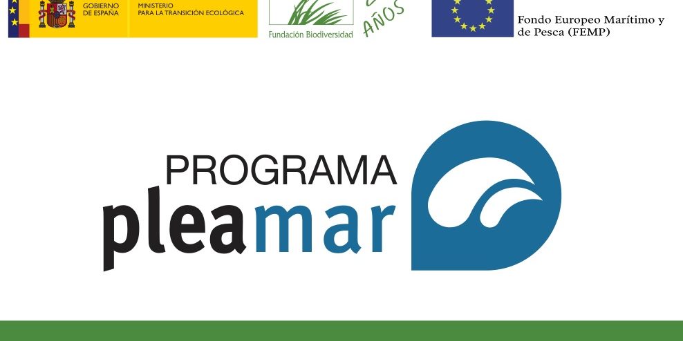 20190219182157pleamar