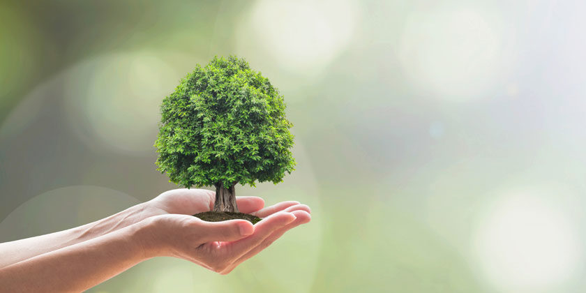 20200210133257medioambiental