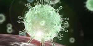 20200311165636descarga