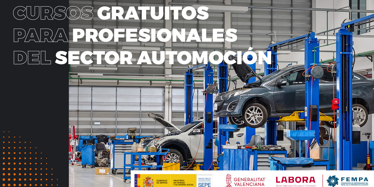 20210309100008automocion