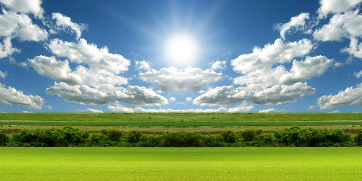 20210323123725explotacion-agropecuaria