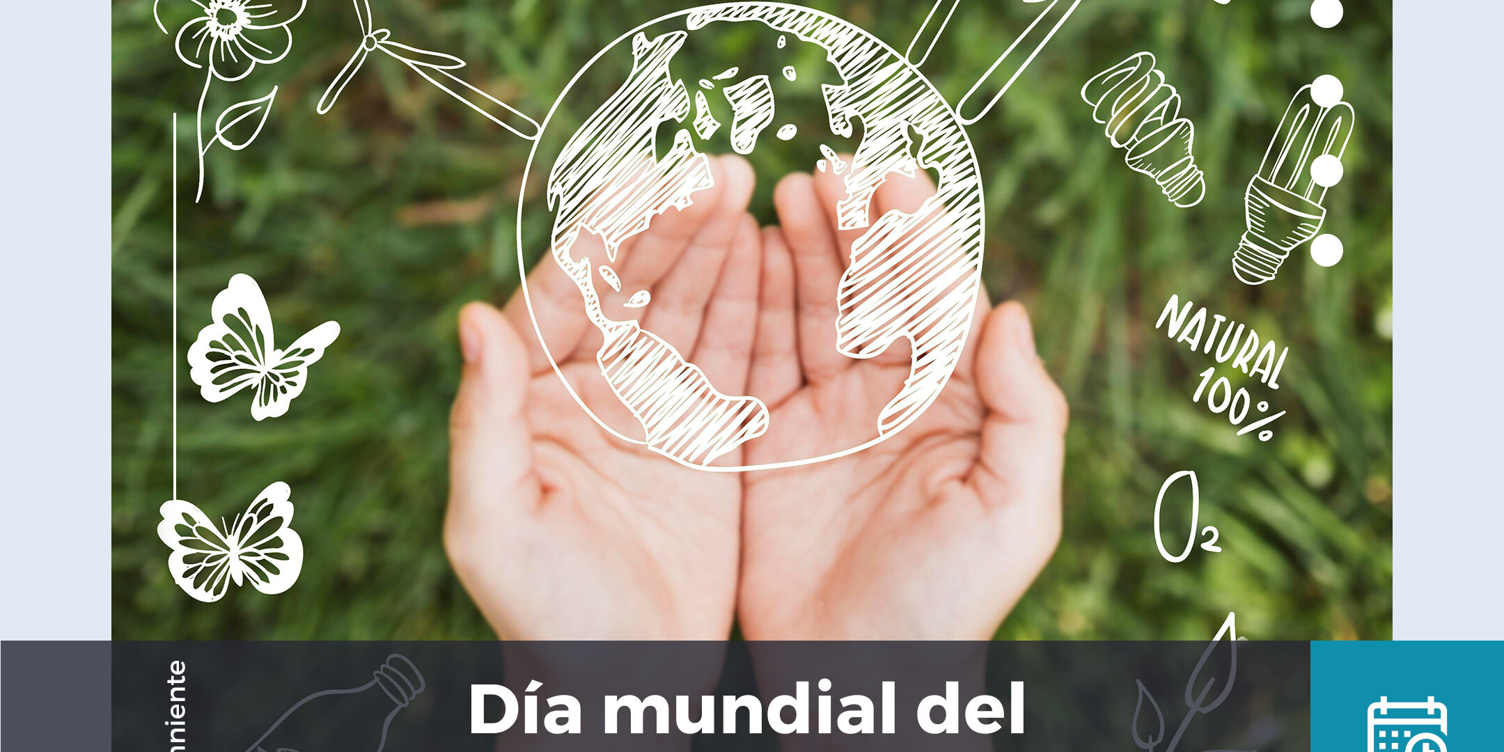 FACEBOOK-INSTAGRAM-dia-medio-ambiente