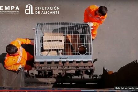 NORMATIVA-MEDIO-AMBIENTE