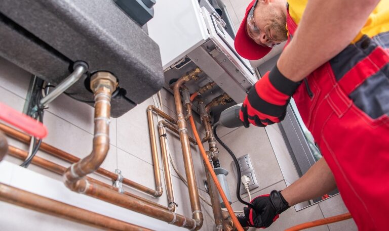 19903_img.jpg